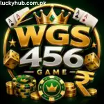 WGS456 Game